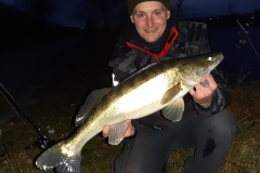 Harald-Lettner-Neue-Donau-Floridsdorf-Zander