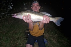Zander-FLD-1
