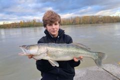 Donau Zander-Christopher 2023