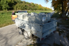 Fischbesatz
