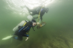 Martin_Aigner_Photography20221015_d850_87321_Danube-Cleanup