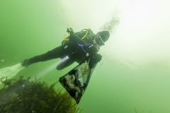 Martin_Aigner_Photography20221015_d850_87399_Danube-Cleanup