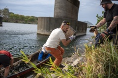 Danube Cleanupday - 14.10.2023