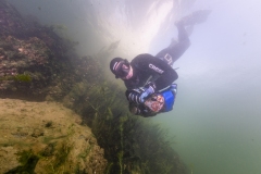 Danube Cleanupday - 14.10.2023